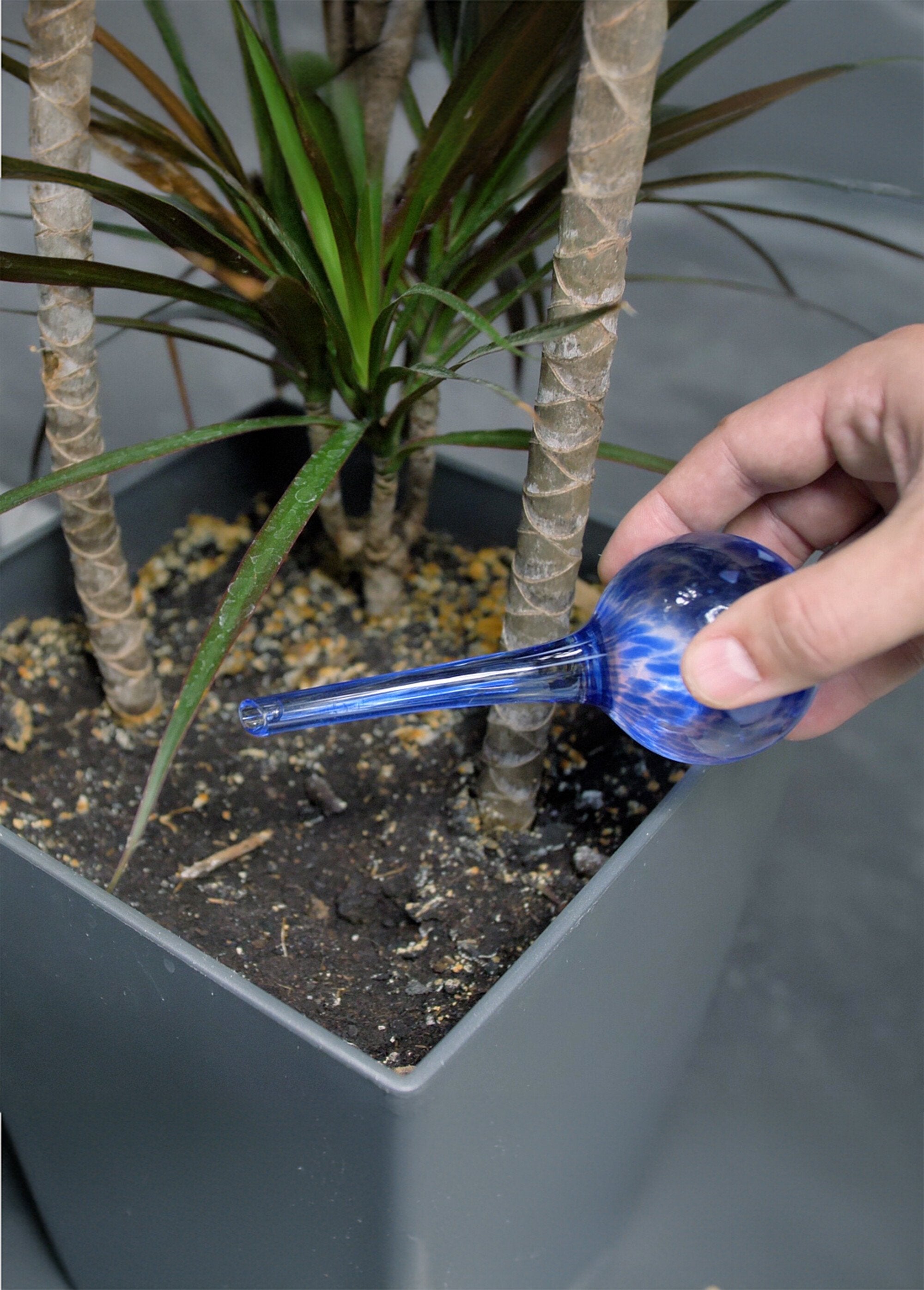 Juego_de_2_bolas_de_cristal_para_regar_plantas_Azul_DE2_slim