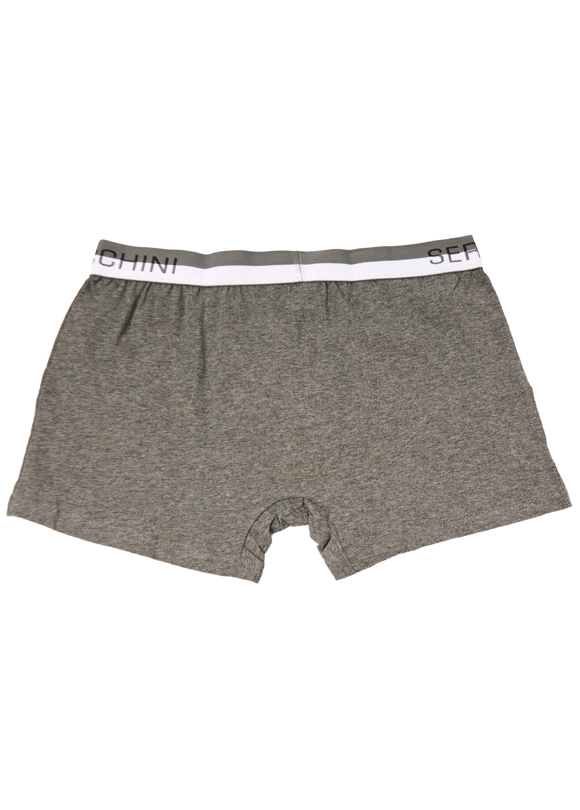 Calzoncillos_bóxer_lisos_con_cinturilla_con_logotipo_Gris_DO1_slim
