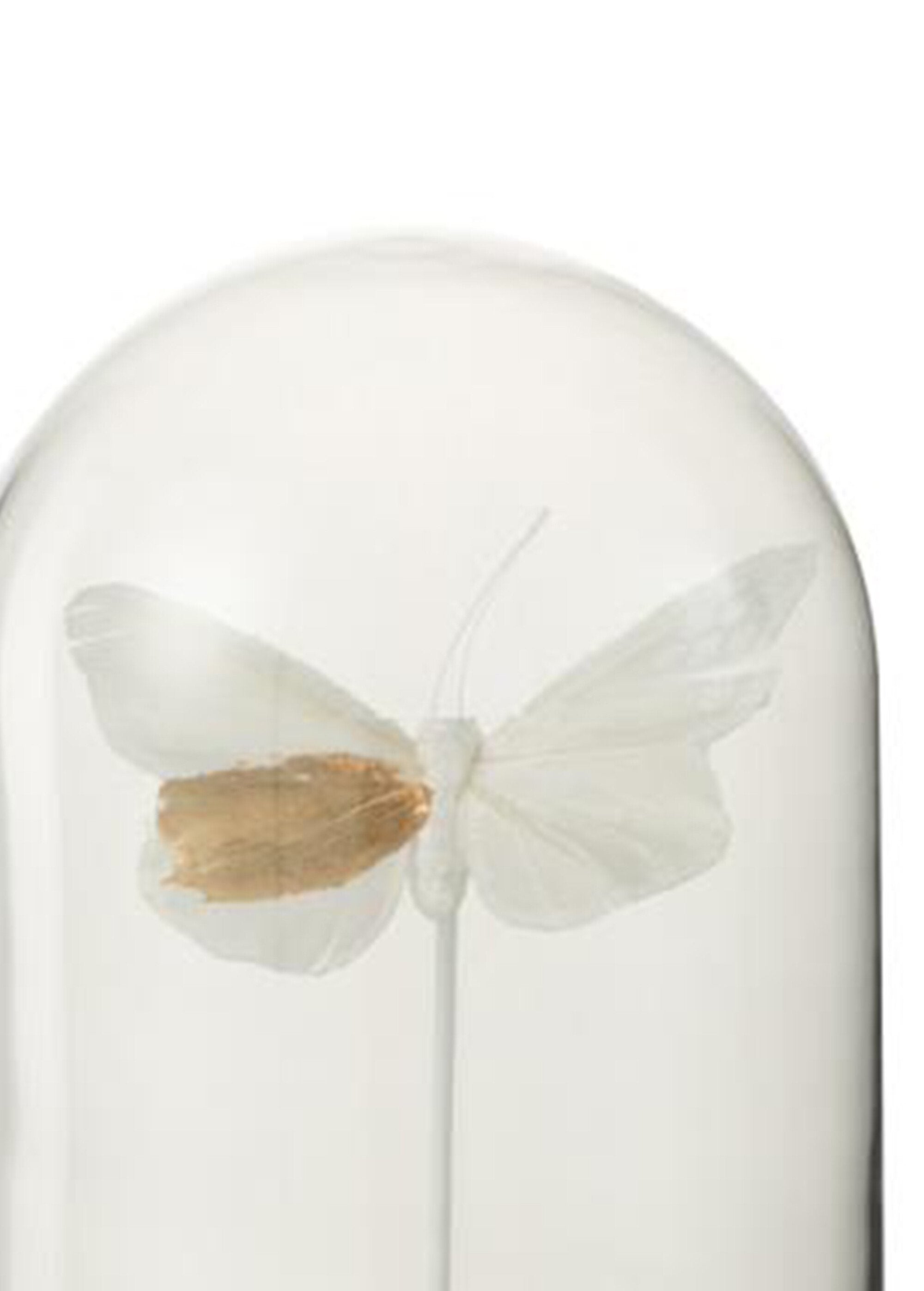 Campana_mariposa_de_cristal_decorativa_Blanc_DE1_slim