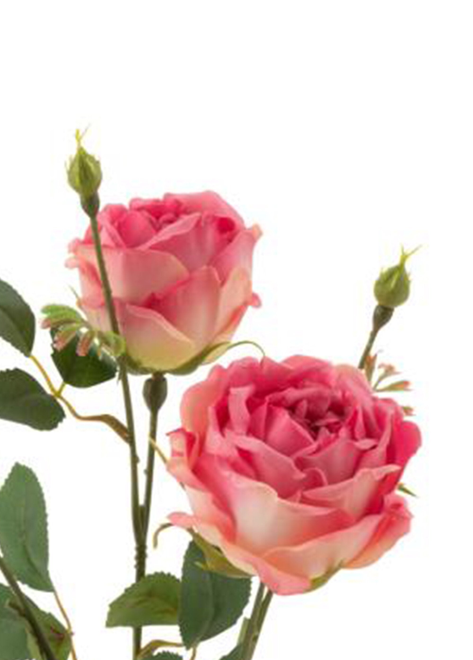 Rosas_de_tela_con_tallo_y_hojas_Rosa_DE1_slim