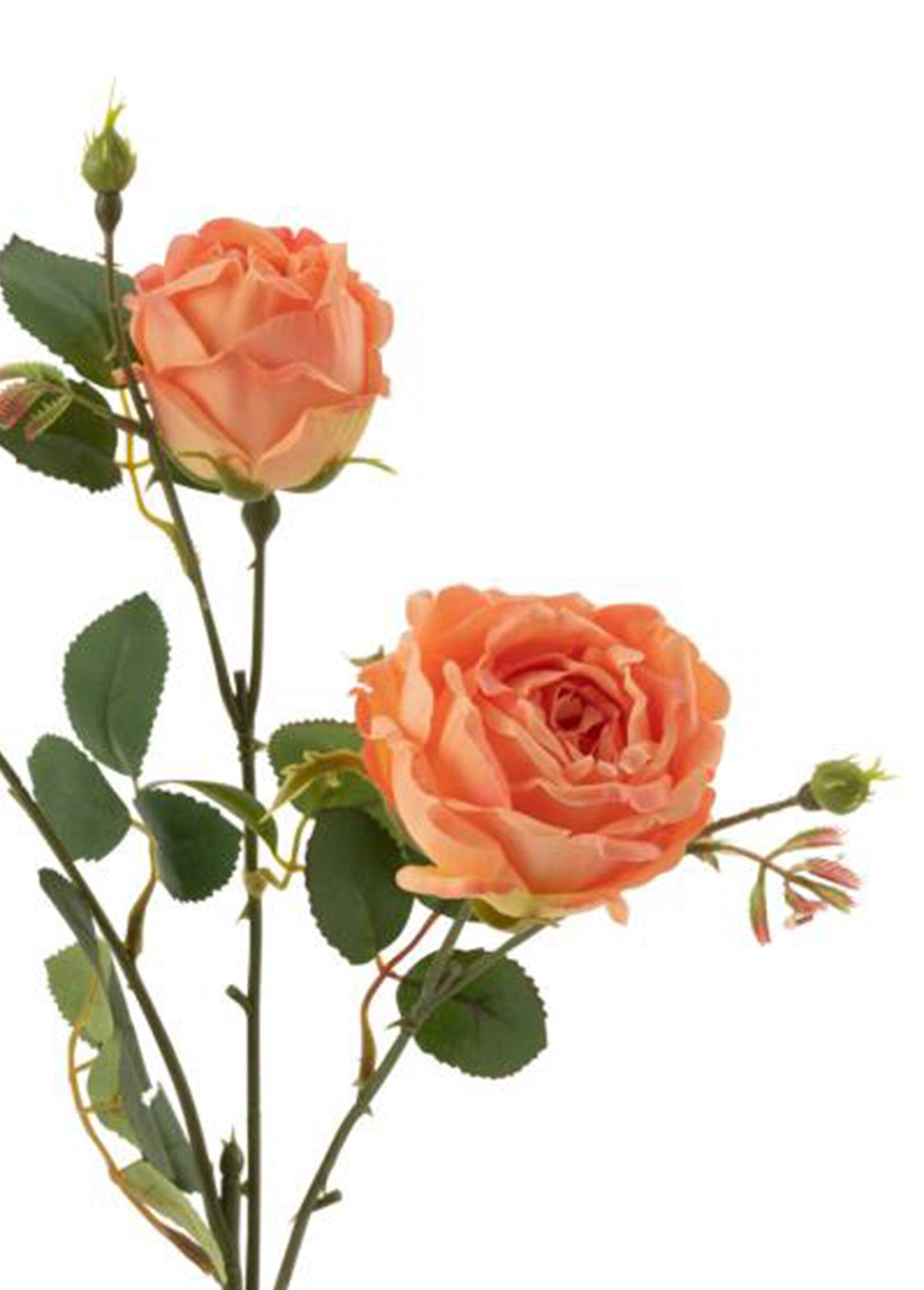 Rosas_de_tela_con_tallo_y_hojas_Orange_DE1_slim