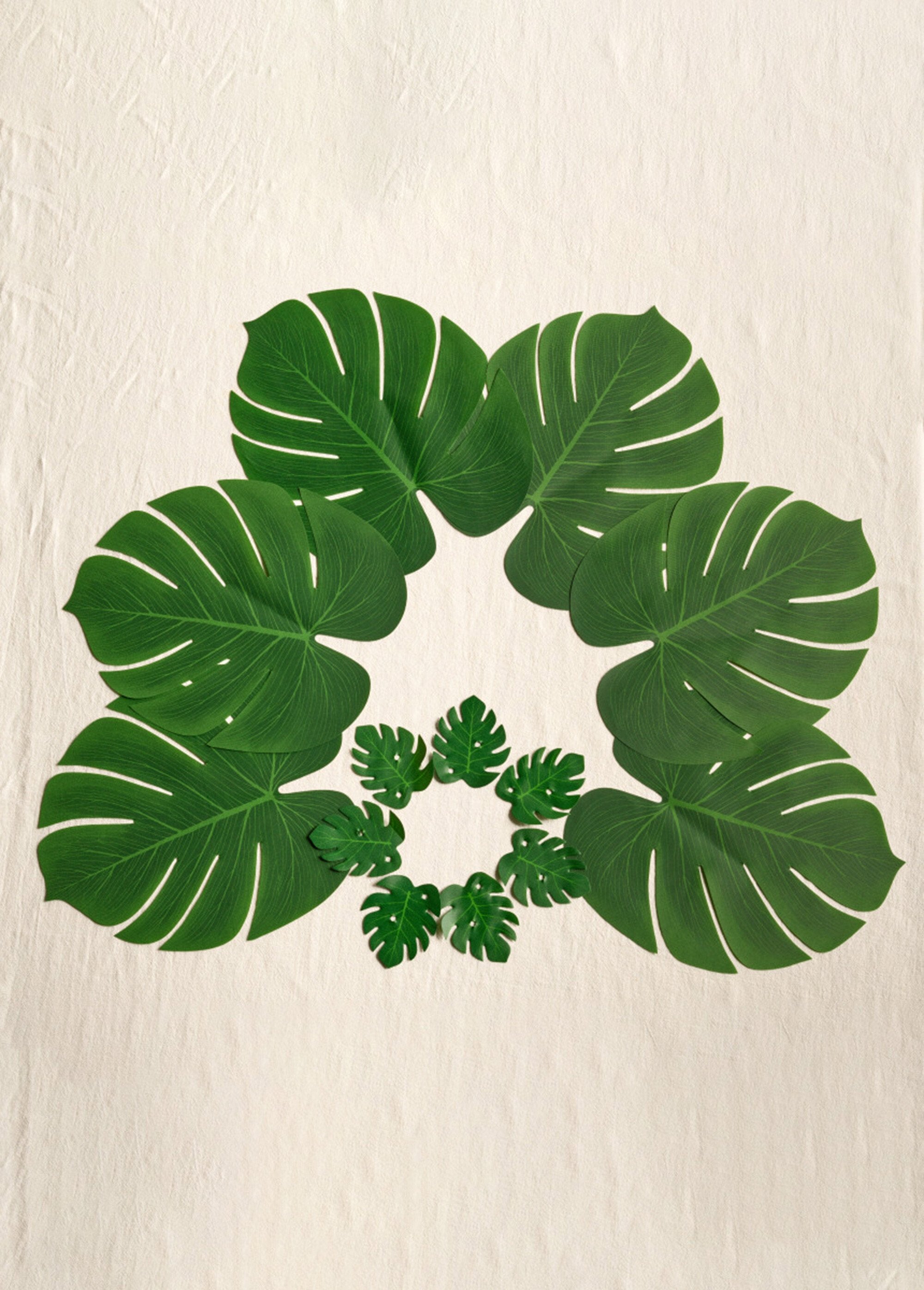 Juego_de_12_hojas_tropicales_decorativas_Lote_verde_12_FA1_slim