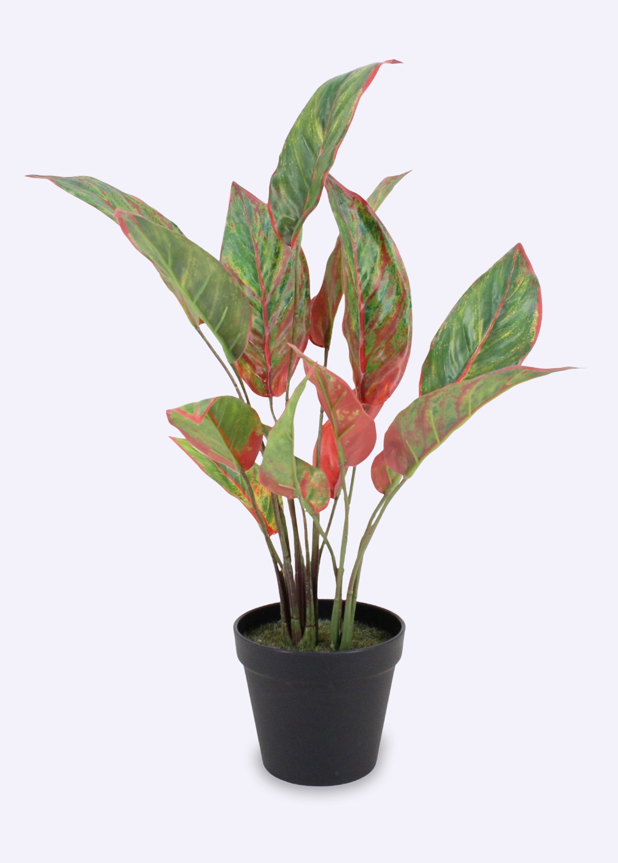 Planta_artificial_Aglaonema_+_maceta_Negro_FA1_slim