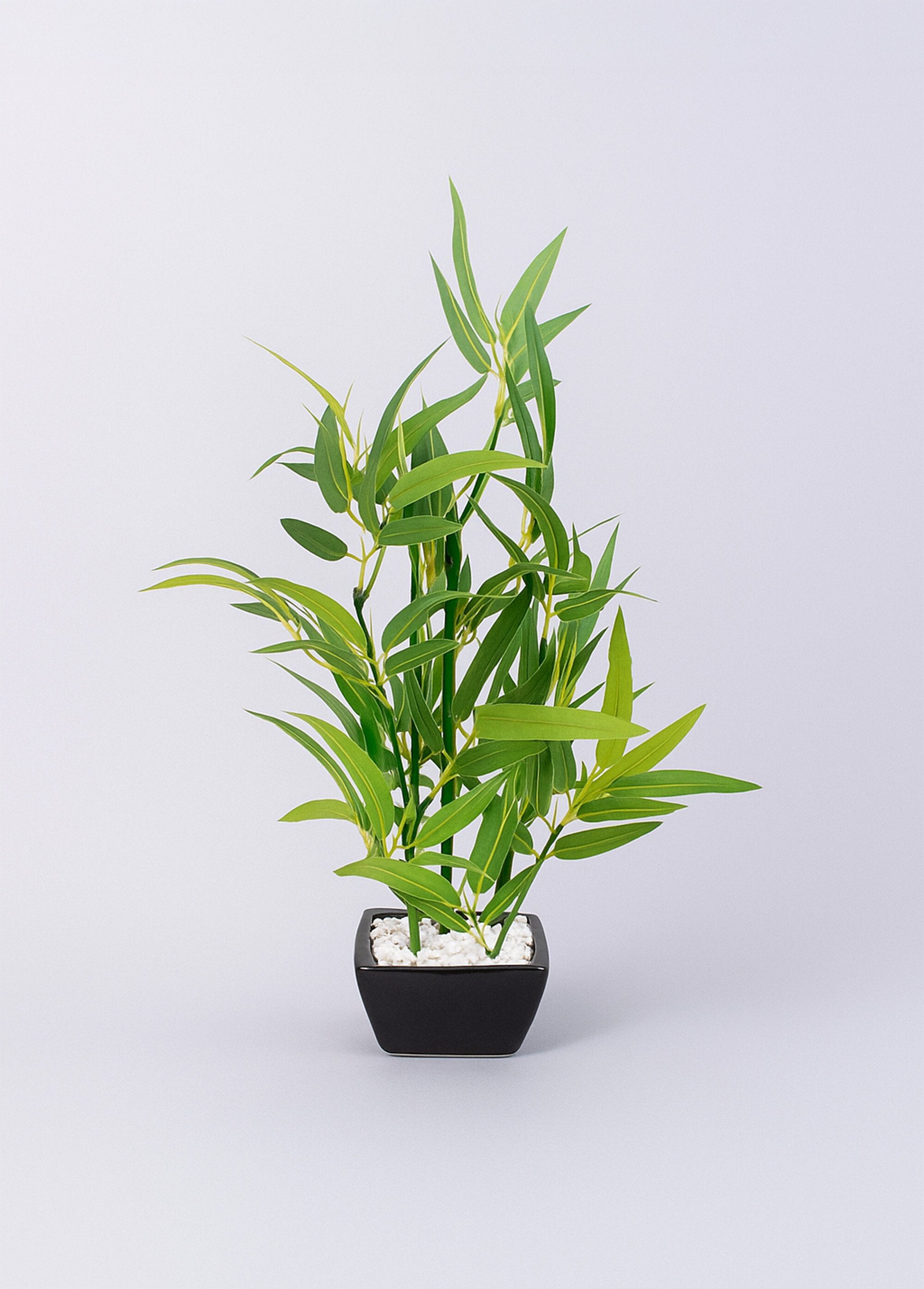 Planta_de_bambú_artificial_en_maceta_de_cerámica._Negro_FA1_slim